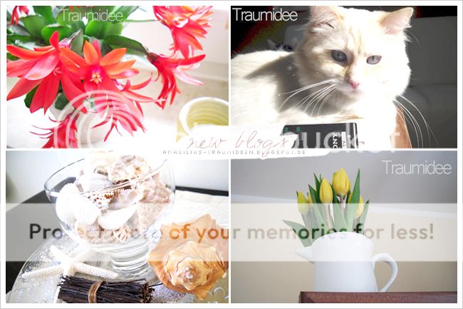 http://i402.photobucket.com/albums/pp103/Sushiina/newblogs/blog_amarila.jpg