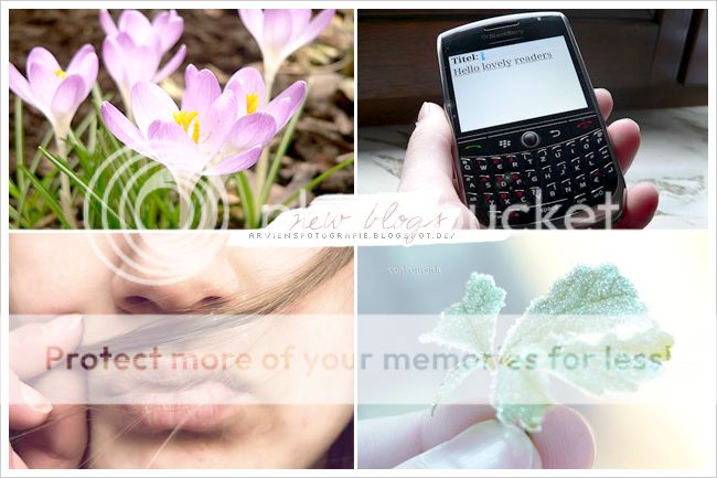 http://i402.photobucket.com/albums/pp103/Sushiina/newblogs/blog_arviensfotografie.jpg
