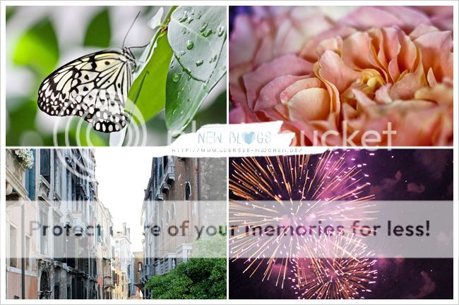 http://i402.photobucket.com/albums/pp103/Sushiina/newblogs/blog_bersee1.jpg
