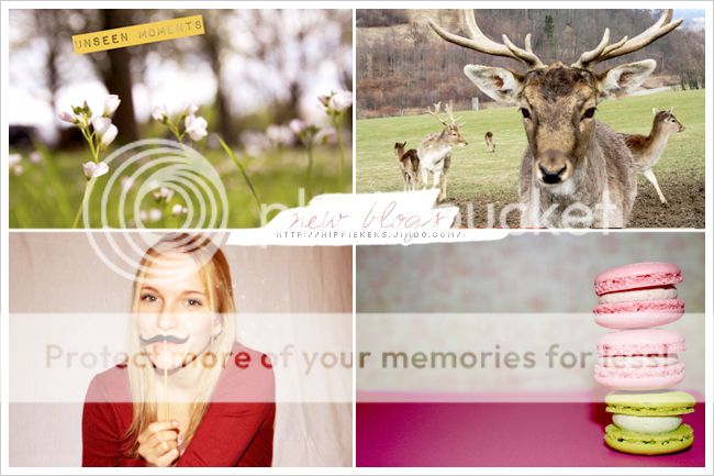 http://i402.photobucket.com/albums/pp103/Sushiina/newblogs/blog_hippiekeks.jpg