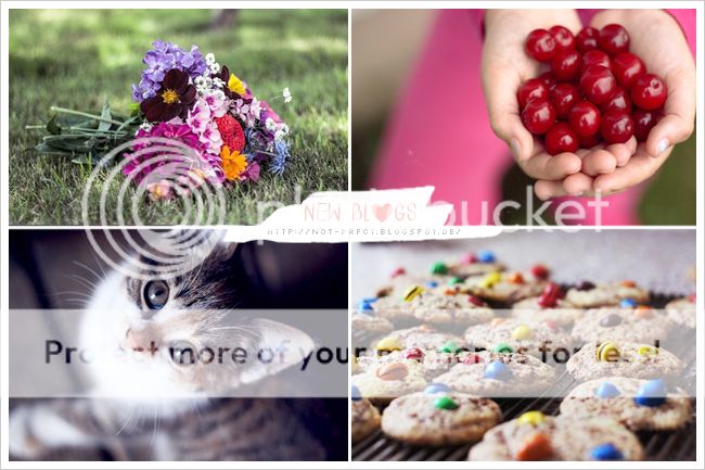 http://i402.photobucket.com/albums/pp103/Sushiina/newblogs/blog_notperfect.jpg