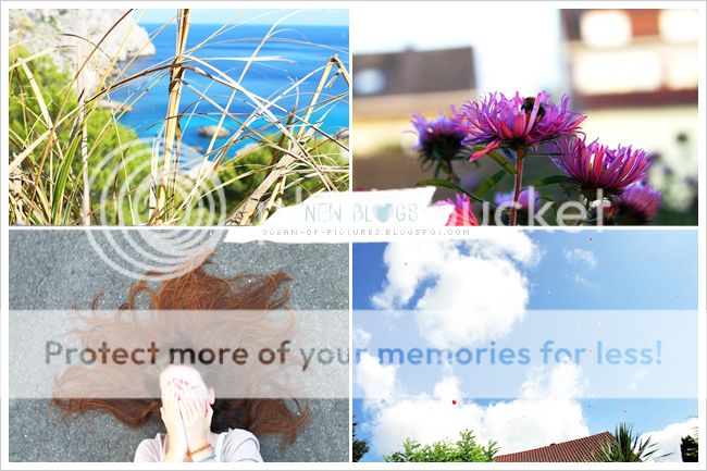 http://i402.photobucket.com/albums/pp103/Sushiina/newblogs/blog_ocean.jpg