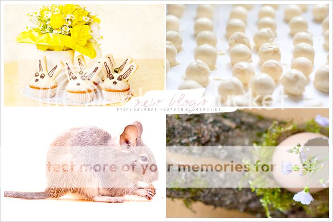 http://i402.photobucket.com/albums/pp103/Sushiina/newblogs/blog_stepko.jpg