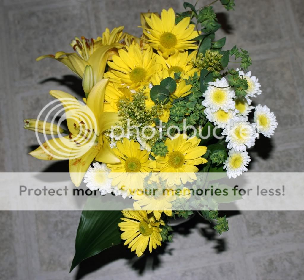 IMAGE: http://i402.photobucket.com/albums/pp107/mikemaciazka/IMG_0518.jpg