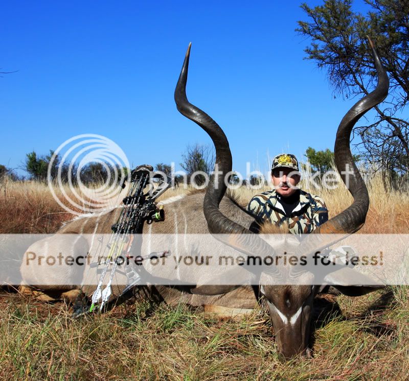 Kudu-067-cropped.jpg
