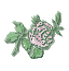 peacefulrose.gif picture by hopefrombeyond